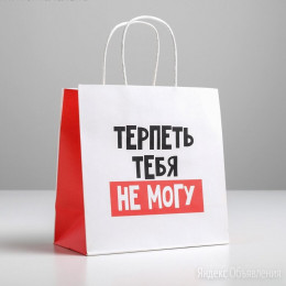 Пакет Крафт с приколами Терпеть Тебя не Могу 22*22*11см