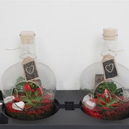 Композиция ( Ptvg2148 Arrangementen Kamerplanten ) W 19 см H 32 см