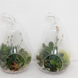 Композиция Pl В Чаше Груша 1 ( Compo Pl In Bowl Pear 1 ) W 20 см H 40 см