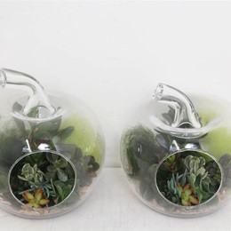 Композиция Положите В Миску Яблоко ( Compo Pl In Bowl Apple ) W 20 см H 30 см