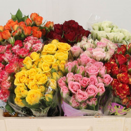 Rosa Sprays mix (Роза Спрей Микс) В60