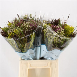 Bouquet African Mix (Букет Африкан Микс) В45