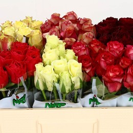 Rosa Gr Mix in bucket(Роза Гр Микс ин Букет) В60