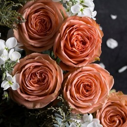 Rosa Gr Country Home ( Коунтри Хом ) В60 Rosa Prima