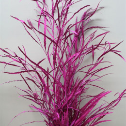 Grevilea Cerise (Гривилия Церайс) В80