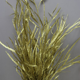 Grevilea Gold (Гривилия Голд) В80