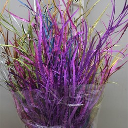 Grevilea Mixed (Гривилия Микс) В80