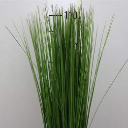 Steelgrass (Стилграсс) В120