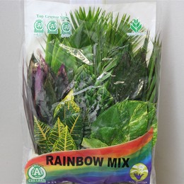 Tropical Mix X8 (Тропикал Микс Х8)