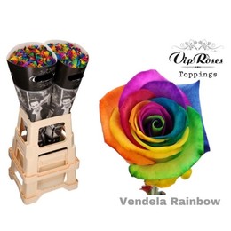 Rosa Gr Rainbow (Роза Гр Рейнбоу) В65