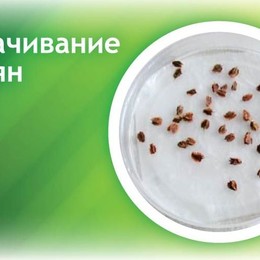 "Аквамикс" микроэлементный комплекс