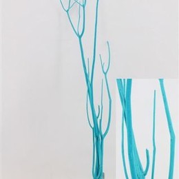 Mitsumata Blue Per Bos (Митсумата Блу Пер Бос)