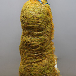 Spagnum Bag (Спангнум Бег)