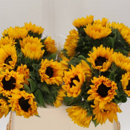 Helianthus orange medium (Подсолнух орандж медиум) В75