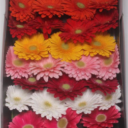 Gerbera Aqua Mixed X125 (Гербера Аква Миксед Х125)