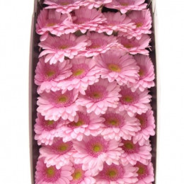 Gerbera mini Ballerina (Гербера мини Балерина) В50