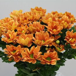 Chrys. tr. Grand Orange (Хриз. куст. Гранд Оранж) В70