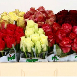 Rosa Gr Mix in bucket(Роза Гр Микс ин Букет) В35