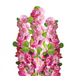 Prunus Triloba (Миндаль трилоба) В80
