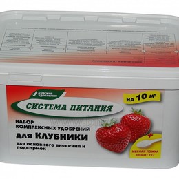 "Система питания" для клубники (земляники)