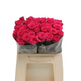 Rosa Gr Layla (Роза Гр Лейла) В60 ROSE HILL