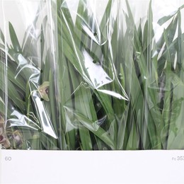 Цимбидиум ОВ Бронза 4 голоса ( Cymbidium Ov Bronze 4 stem ) W 14 см H 70 см