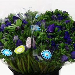 Anemone Blue (Анемон Блу) В40