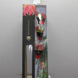 Gloriosa Mixed Box (Глориоза Миксед Бокс)