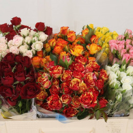Rosa tr mix in bucket(Роза тр. Микс ин букет) В50