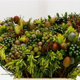Kaaps Mixed (Каапс Миксд) В40