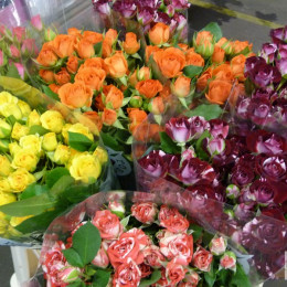 Rosa tr mix(Роза тр. Микс) В50