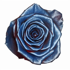 Rosa Baby Satin Blue (Роза Бэйби Сатин Блу) В80