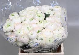 Ranunculus Cloony Rio (Ранункулюс Клуни Рио) В40